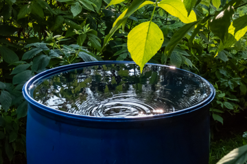 L'utilisation de l'eau de pluie pour la chasse d'eau