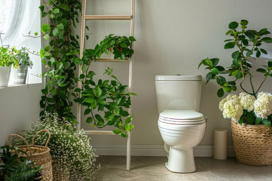 Quelles plantes mettre dans tes toilettes ?