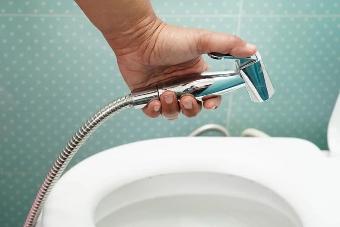 Douchette WC chromée : style et fonctionnalité réunis