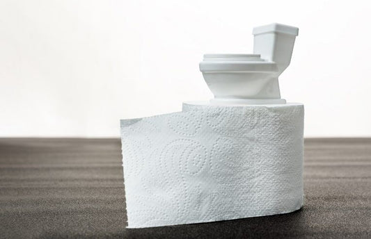 Par quoi remplacer le papier toilette ?