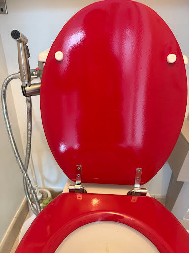 toilettes équipé d'une douchette wc en inox expert wc